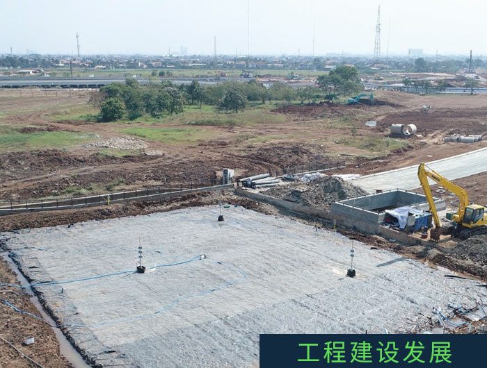 图片展示