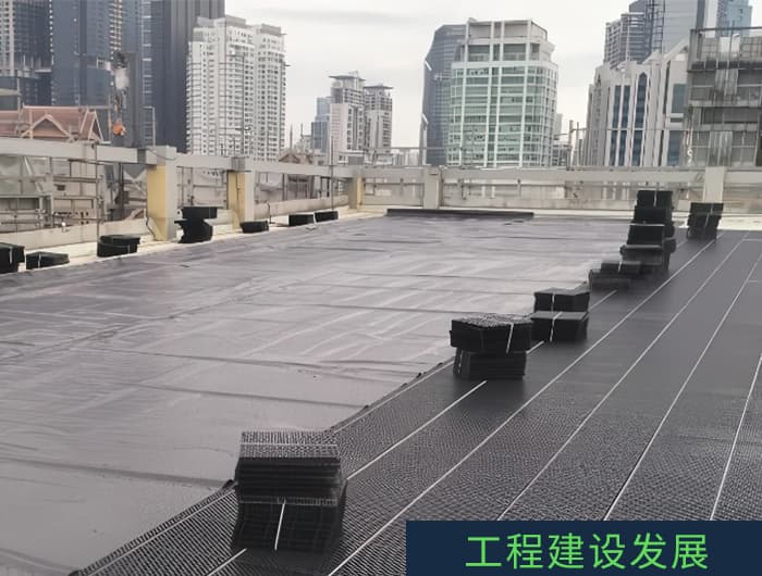 图片展示