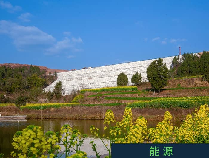 图片展示