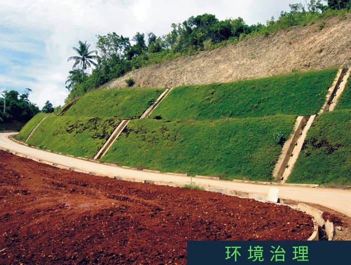 长滩岛：边坡侵蚀防护与植被恢复项目
